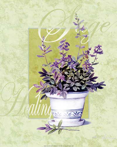 Sage Healing