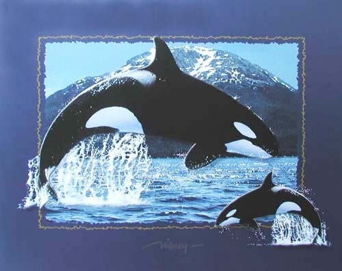 Zwei Orcas Fotomontage in Blau Poster