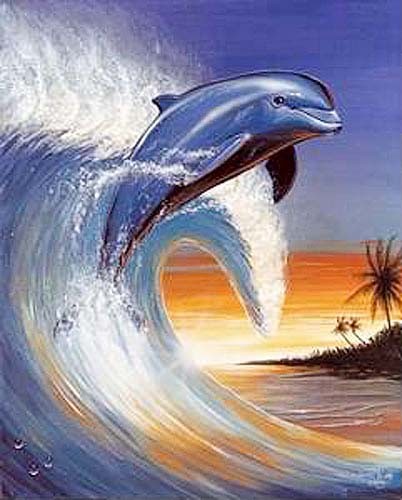 Poster Delphin Delfin auf Welle von Georg Huber