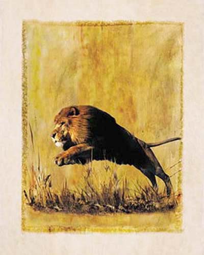 Lion Jumping Poster 40x50 cm