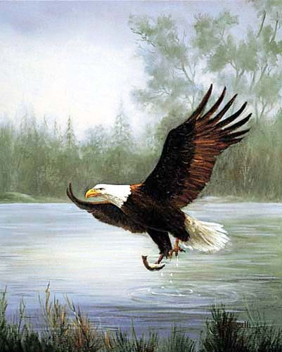 Der verwunschene Teich – Adler beim Fischfang von Marianne Caroselli Poster