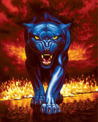 Fire Panther Dufex Alubild 16x21 cm