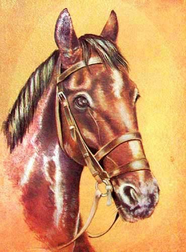 Pferdekopf Portrait Dufex Alubild 16x21 cm