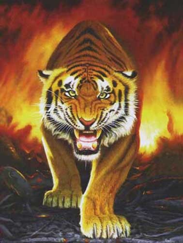 Tiger mit Feuer im Hintergrund Dufex Alu Bild 16x21 cm