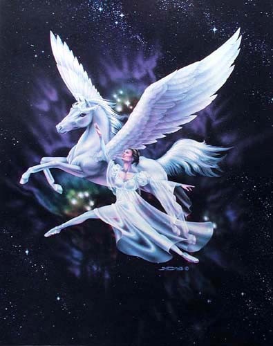 Poster 40x50 cm: Pegasus und Ballerina von Sue Dawe