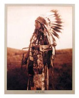 Poster 40x50 cm: High Hawk (E. Curtis Collection) Poster 40x50 cm: High Hawk (E. Curtis Collection)