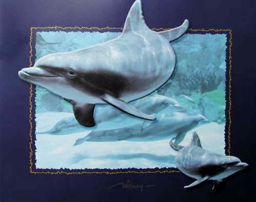 Delfine schwimmen über den Rahmen – Delfine von Willney Poster