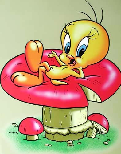 Tweety auf Pilz Poster 40x50 cm