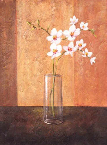 Orchideen Bild
