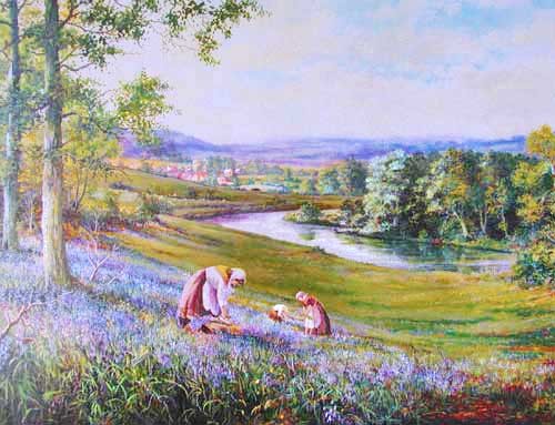 Bluebell View by Colin Vokes