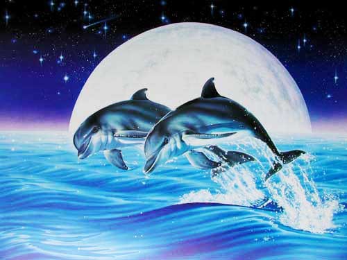 Poster: Fantastische Mondfinsternis – Delfin im Rhythmus der Nacht