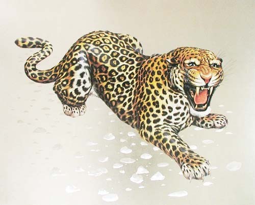 Leopard Aluminium Druck