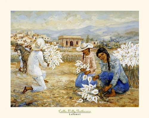 Calla Lilly Gatherers