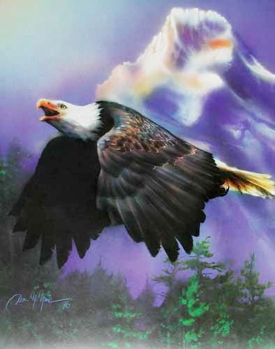 Seeadler im Flug Poster. Die Mystik des Weißkopfseeadlers von Dan Mc Manis