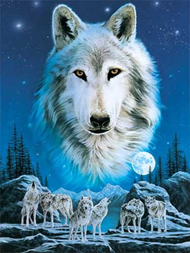 Nacht der Wölfe Wolf Fantasy- Dufex Alu Bild 43x54 cm