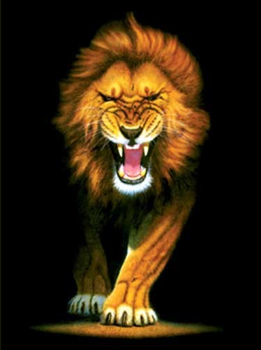 Stalking Lion by Meiklejohn Graphics