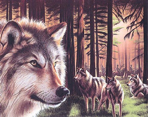 Wölfe und Indianer im Hintergrund Poster 40x50 cm