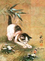 Katze und Schmetterling Alu Druck Katze und Schmetterling Alu Druck