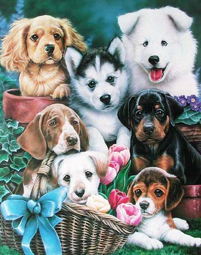 Puppies by Newland