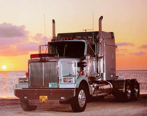 Western Star by Richard Stockton