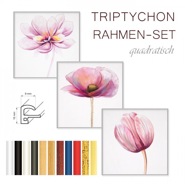 Triptychon Rahmenset 3x 30x30 cm