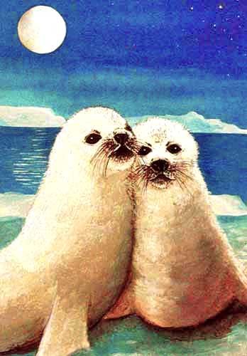 Widge and Sol the Harp Seals by Debbie Mackintosh