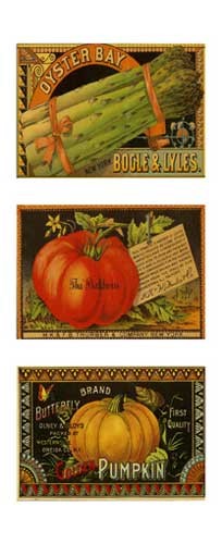 Vegetables Trio