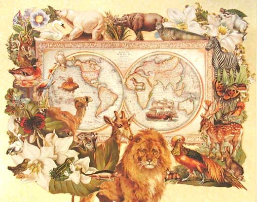 Weltkarte mit Tieren von Thomas Catney - Aludruck 26x21 cm
