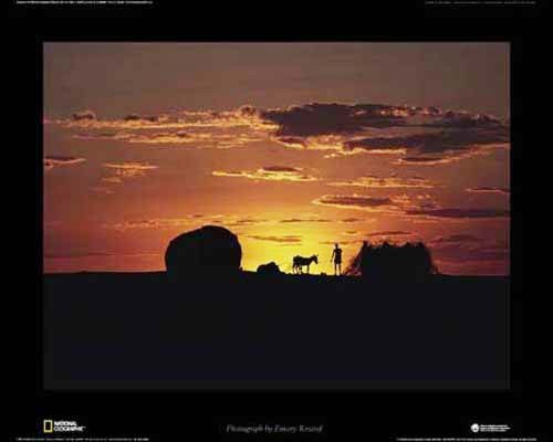 Afrika, Kenia - Mann mit Esel Poster