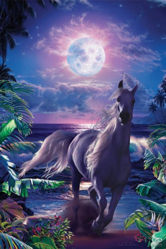 Pferd am Strand bei Vollmond Poster 62x90 cm