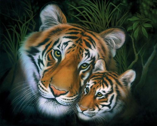 Mother Tiger and Cub