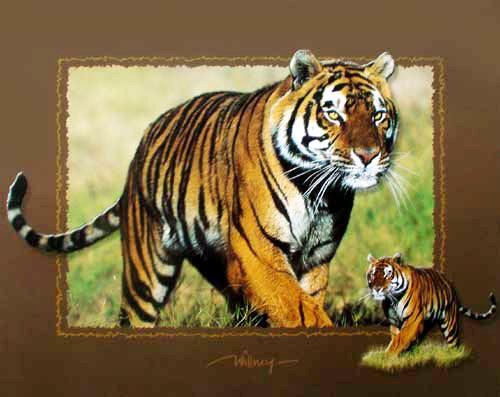 Sibirischer Tiger by Willney