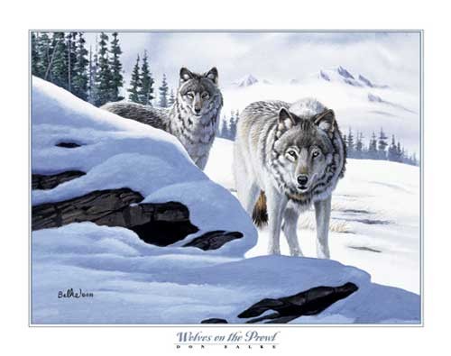 Kunstdruck 56x71 cm Wölfe im Winter
