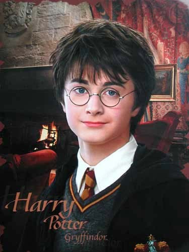 Harry Potter und Kammer des Schreckens - Poster 40x50 cm