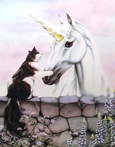 Katze und Einhorn Poster 40x50