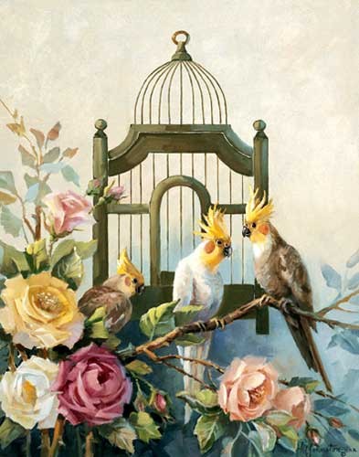 Drei Papagaien auf Rosenzweig Kunstdruck 40x50 cm