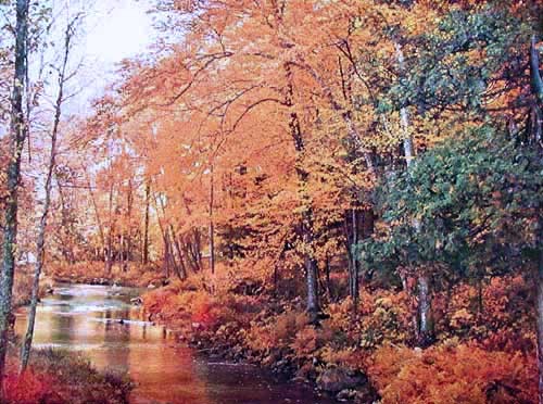 Herbst Landschaft mit Fluss Bild