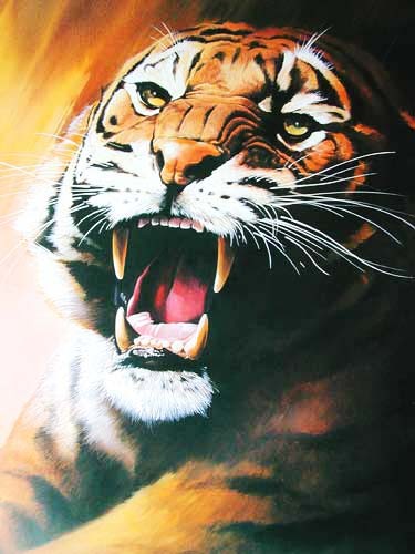 Fauchender Tiger Poster