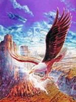 Weißkopfadler Fantasie Alu Bild Weißkopfadler Fantasie Alu Bild