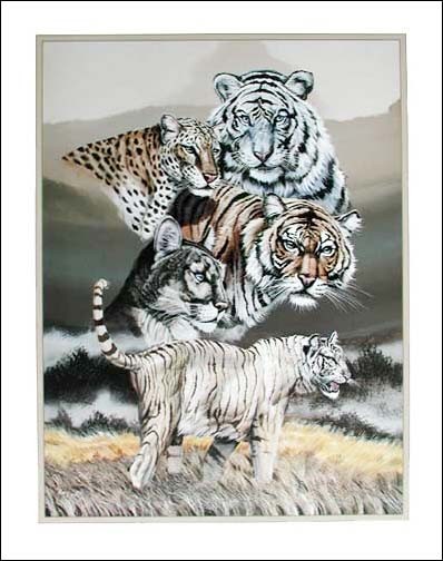 Großkatzen-Montage von Gary Ampel Kunstdruck 40x50 