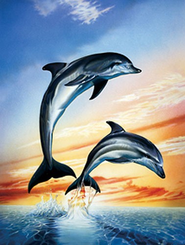 Bild: Sprung in den Sonnenuntergang – Delfine tauchen auf von Rowe 