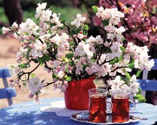 Apfelblütenzweige in Vase Alu Bild