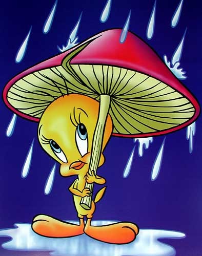 Tweety unterm Pilz Poster