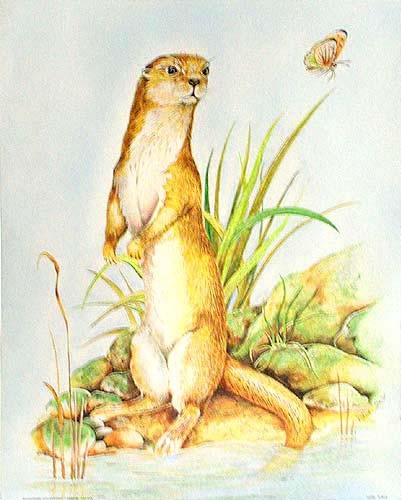 Otter und Schmetterling Alu Bild 21x26