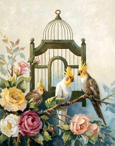 Drei Papagaien auf Rosenzweig Kunstdruck 56x71 cm