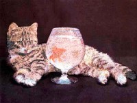 Katze und Goldfisch * Katze und Goldfisch *