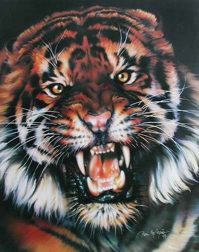 Tiger faucht von Dan Mc Maris Poster