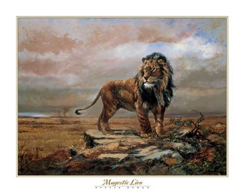 Majestätischer Löwe Kunstdruck 56x71 cm