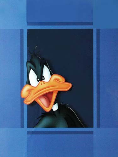 Poster 40x50 cm: Looney Tunes, Daffy Duck Portrait