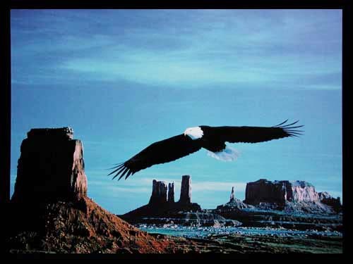 Monument Valley – Weißkopfseeadler über dem Horizont Poster